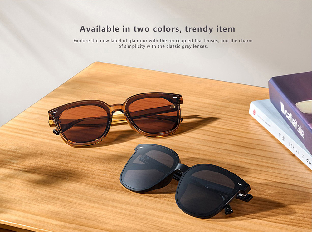 Mija Square FramePolarized Sunglasses