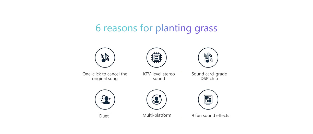 Mijia Karaoke Microphone