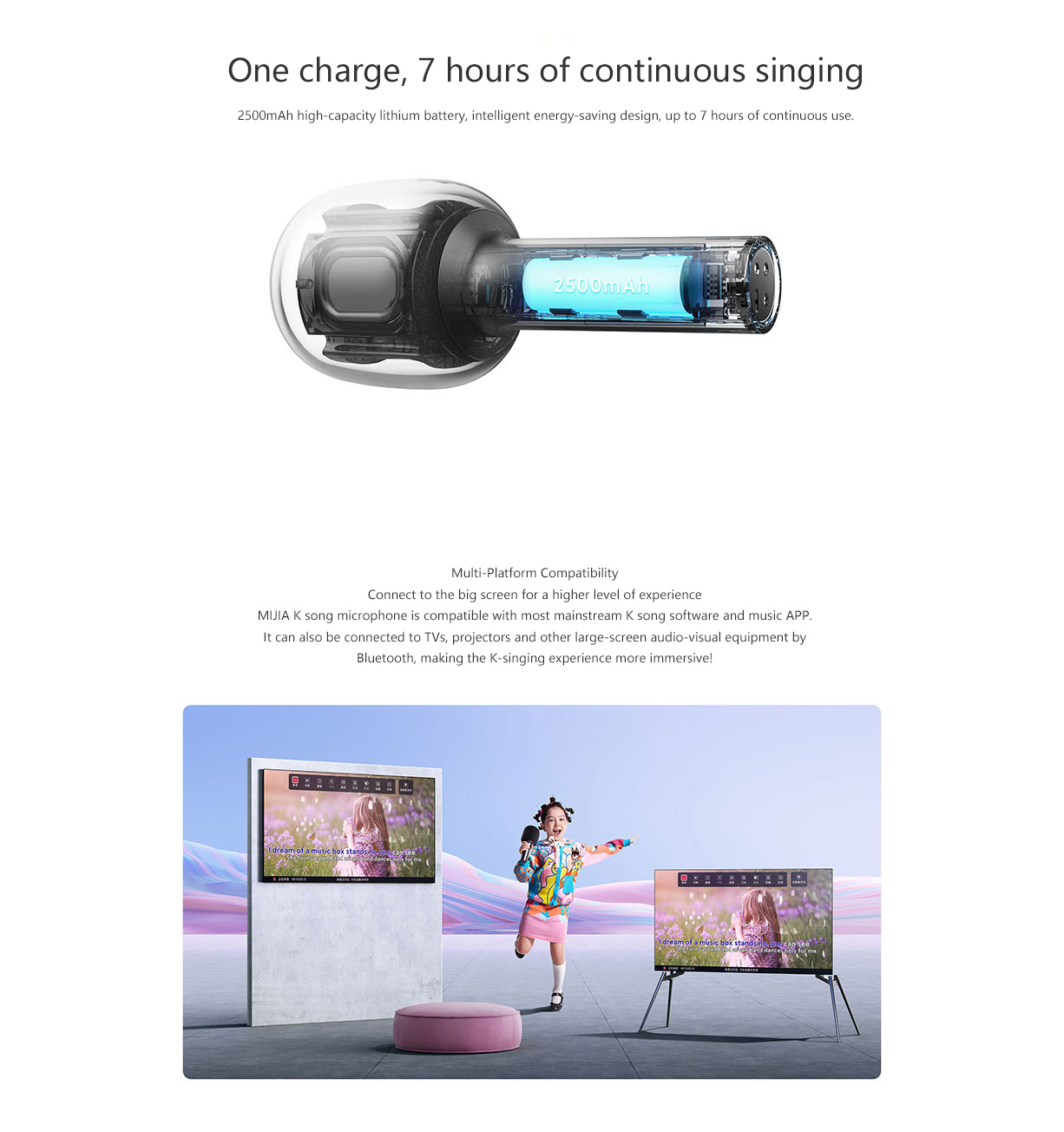 Mijia Karaoke Microphone