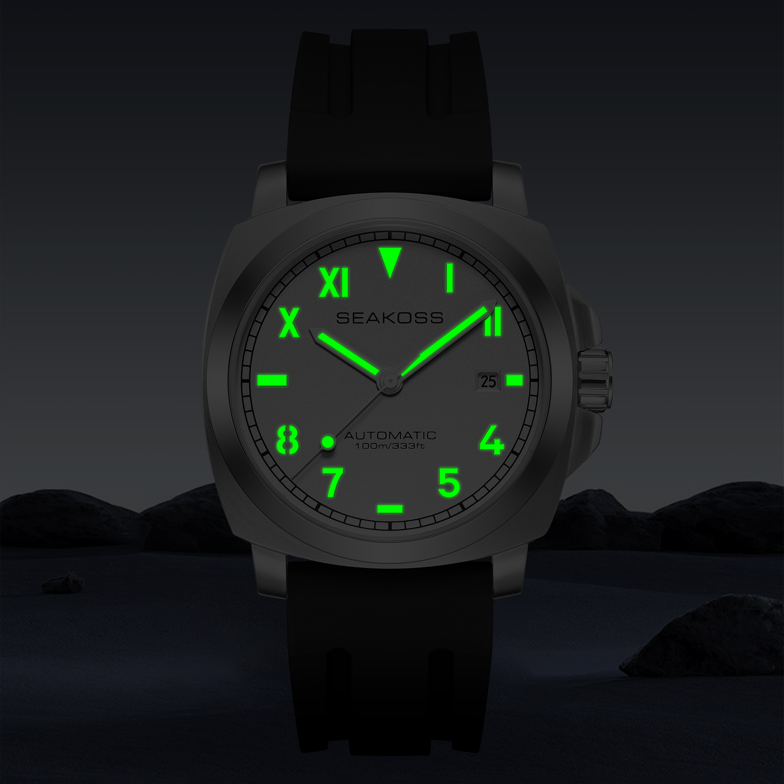 S8842 Mechanical Wristwatch